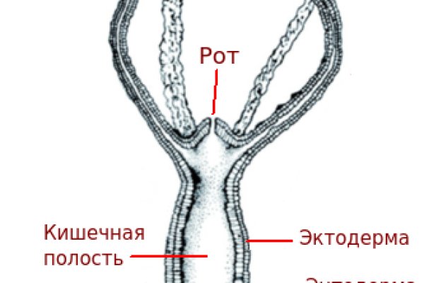 Кракен это что за сайт